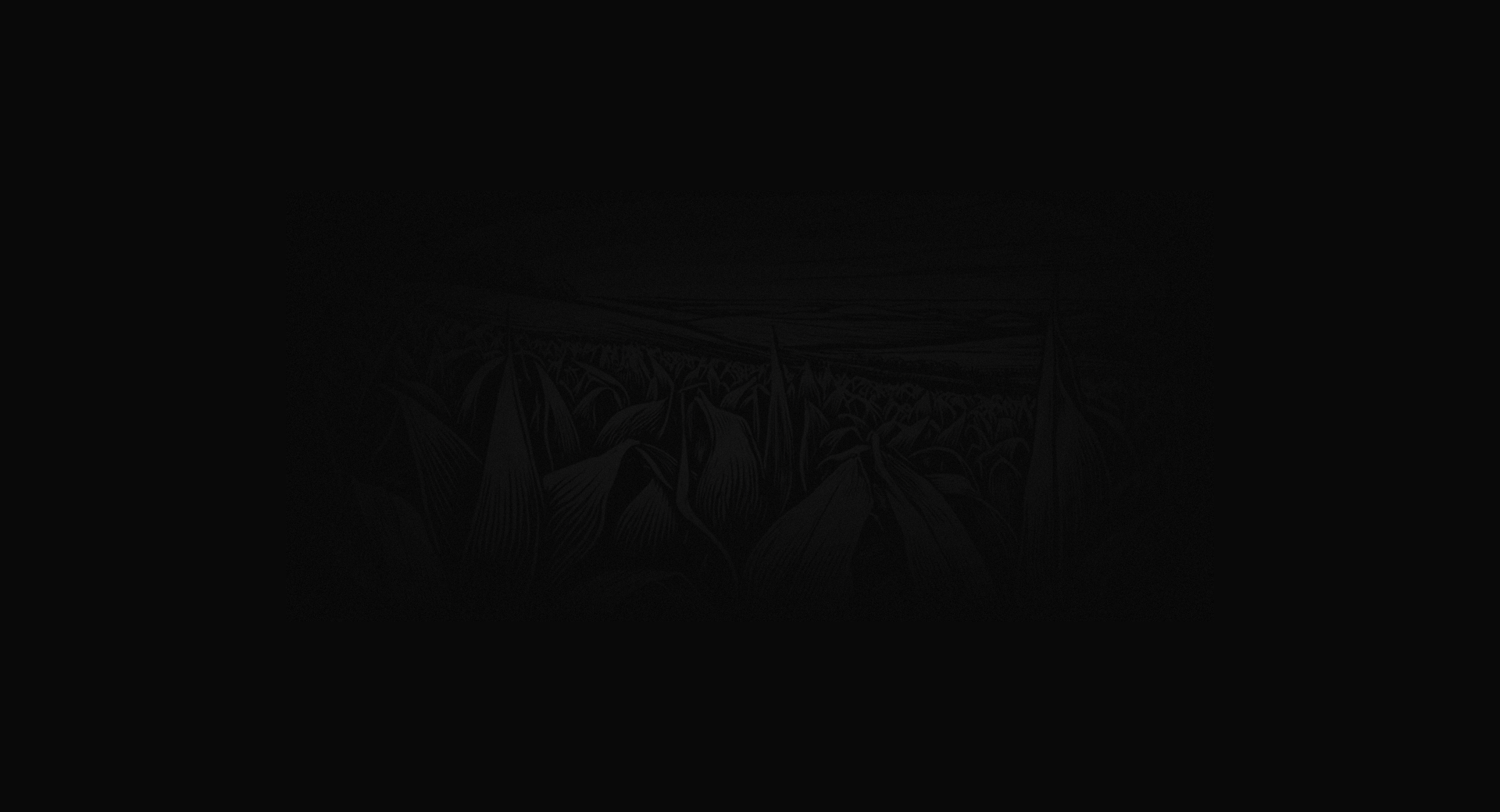 login-bg